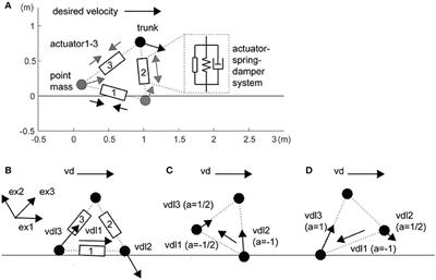 Switching Adaptability in Human-Inspired Sidesteps: A Minimal Model